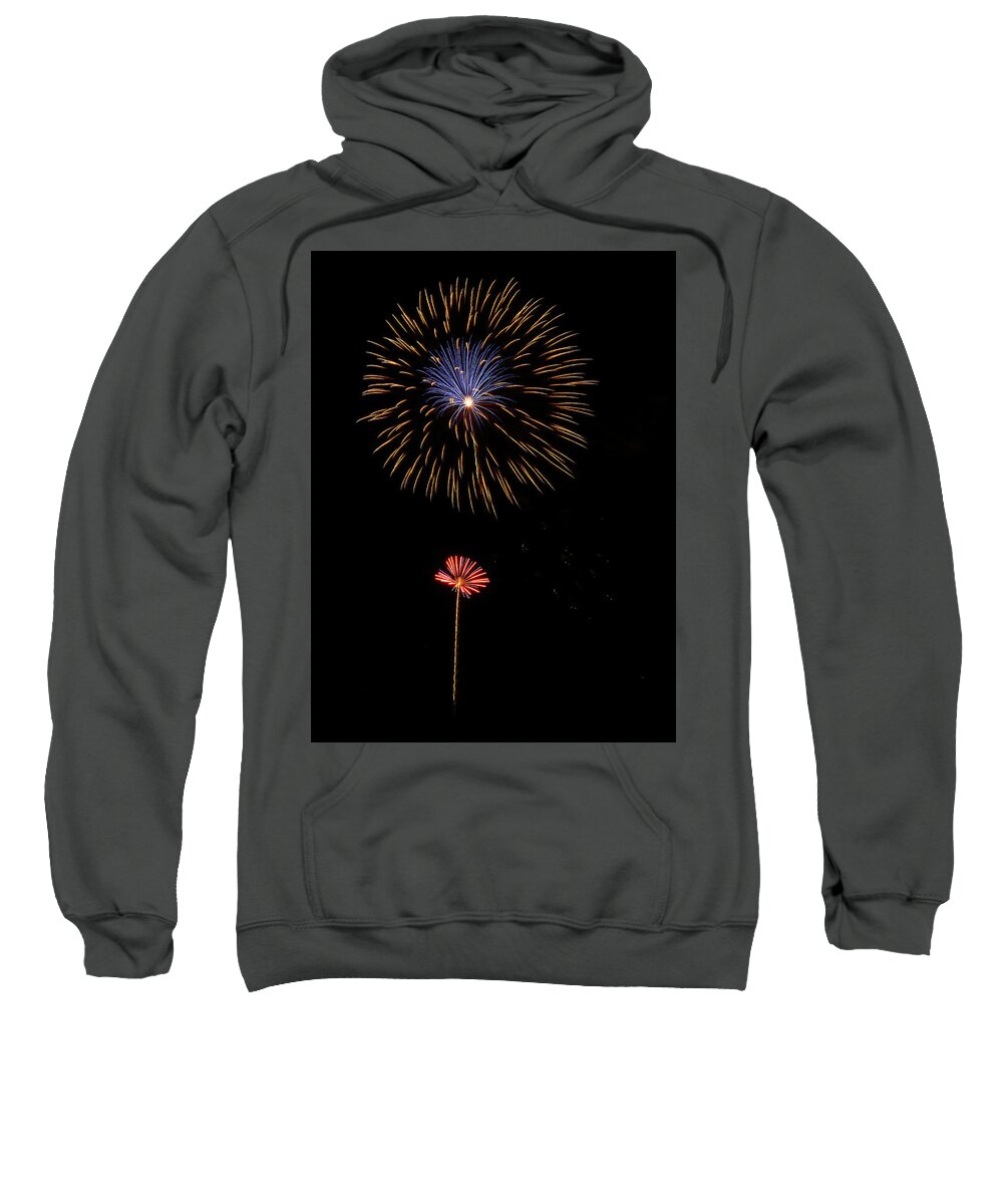 Fireworks Sweatshirt featuring the photograph Sun N Flower by Elaine Malott