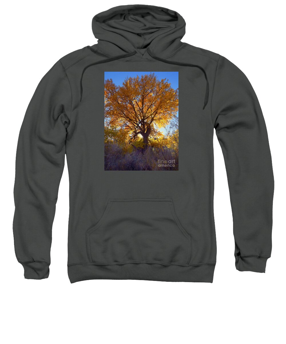 Golden White Light Shining Through The Leaves Sweatshirt featuring the digital art Sun through golden leaves by Annie Gibbons