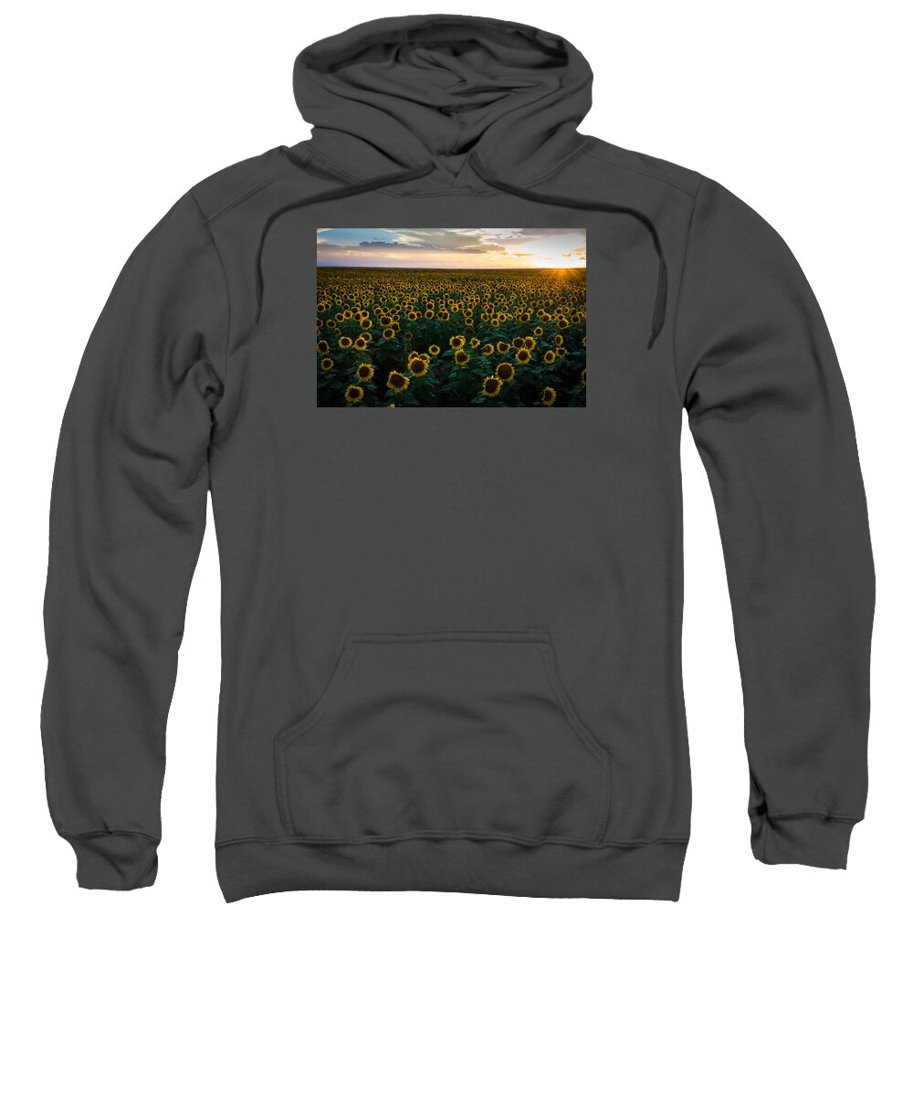 Sunflowers Sweatshirt featuring the photograph Sunflowers at Sunset by Stephen Holst
