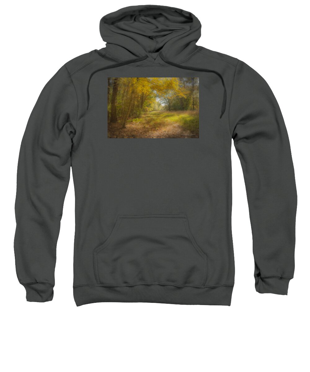Sunlit Sweatshirt featuring the painting Sunlit Meadow in Borderland by Bill McEntee