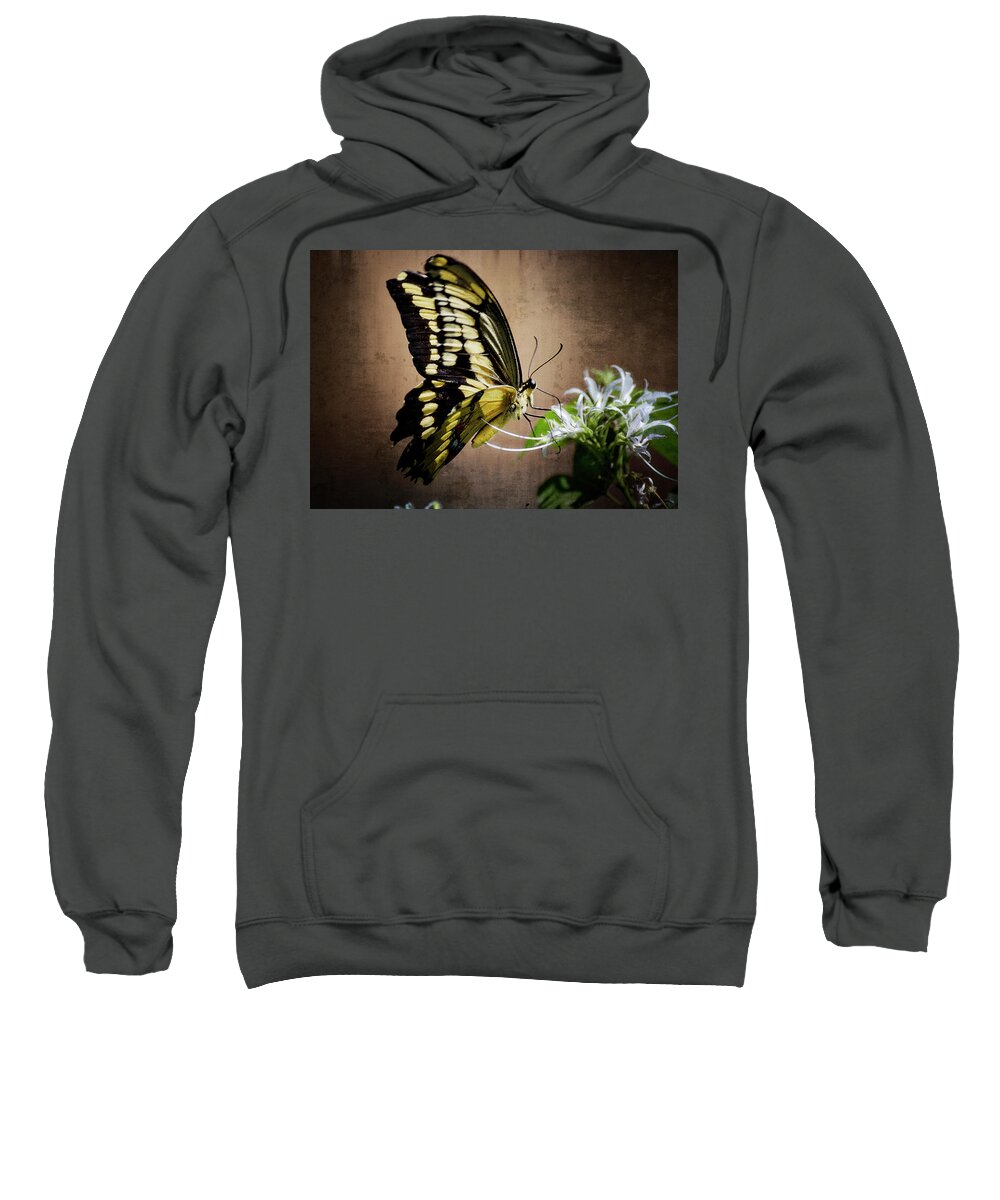 Swallowtail Butterfly Sweatshirt featuring the photograph Swallowtail by Saija Lehtonen