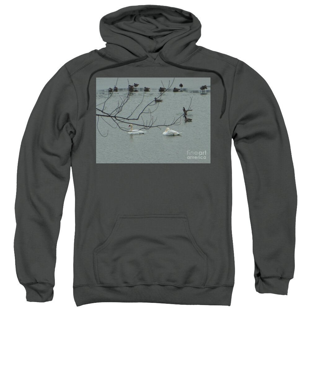 Swans Sweatshirt featuring the photograph Swans with Geese by Rockin Docks Deluxephotos