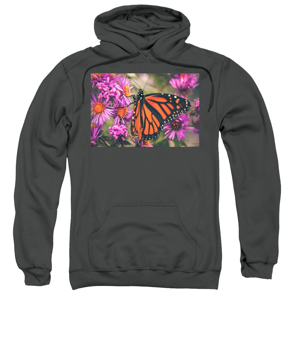 Monarch Butterfly Sweatshirt featuring the photograph Sweet Surrender by Viviana Nadowski