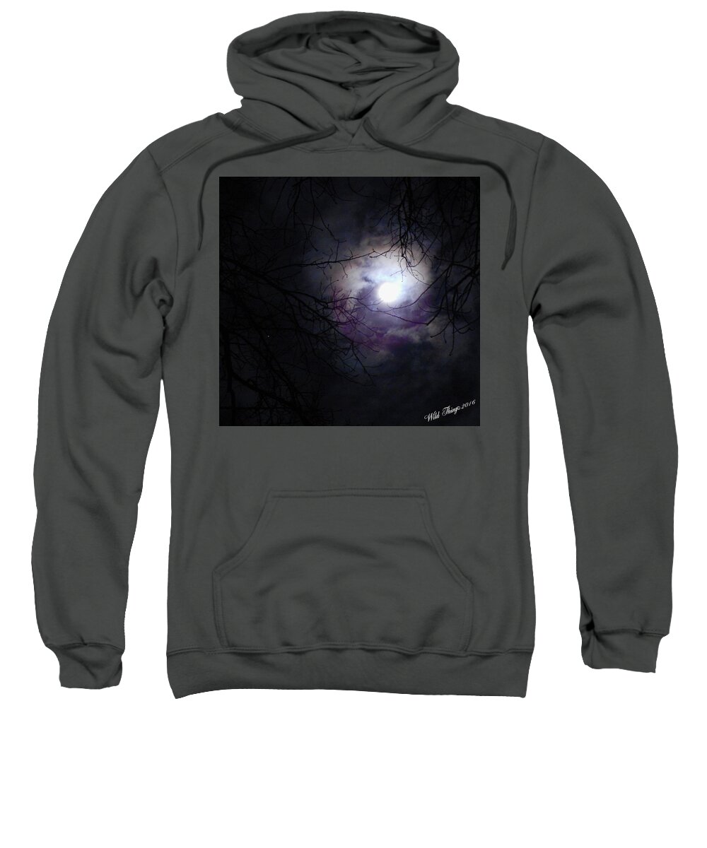 Earth's Natural Satellite Sweatshirt featuring the photograph Swirling Around by Wild Thing