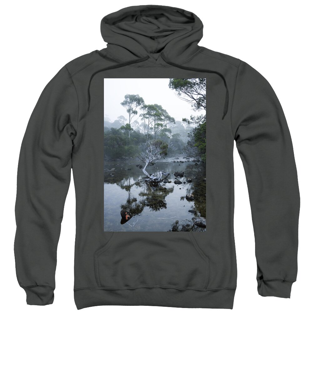 Tea Tree Sweatshirt featuring the photograph Teetrea by Anthony Davey