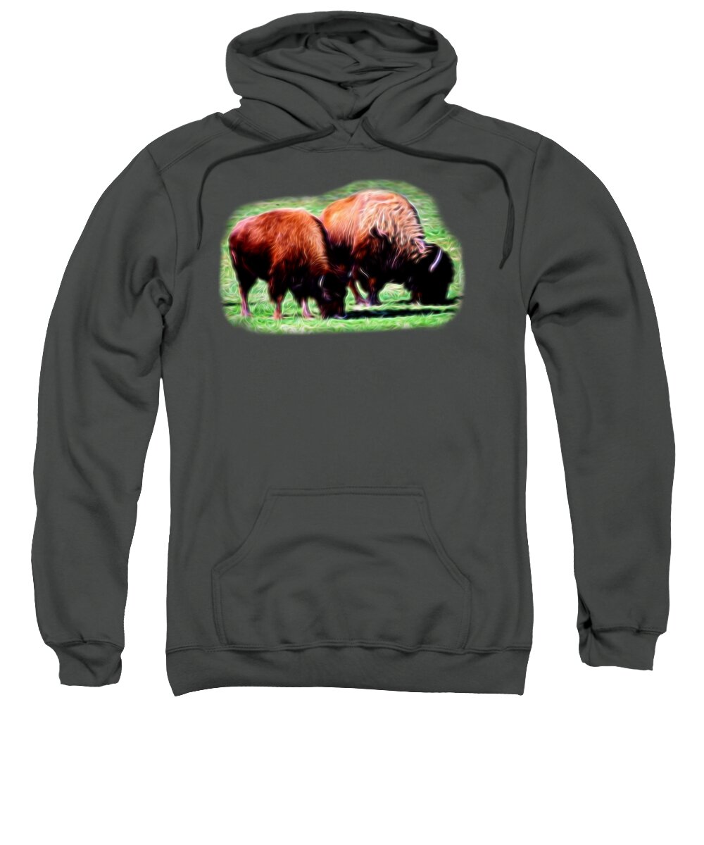 Fabric Design Sweatshirt featuring the photograph Texas Bison by Linda Phelps