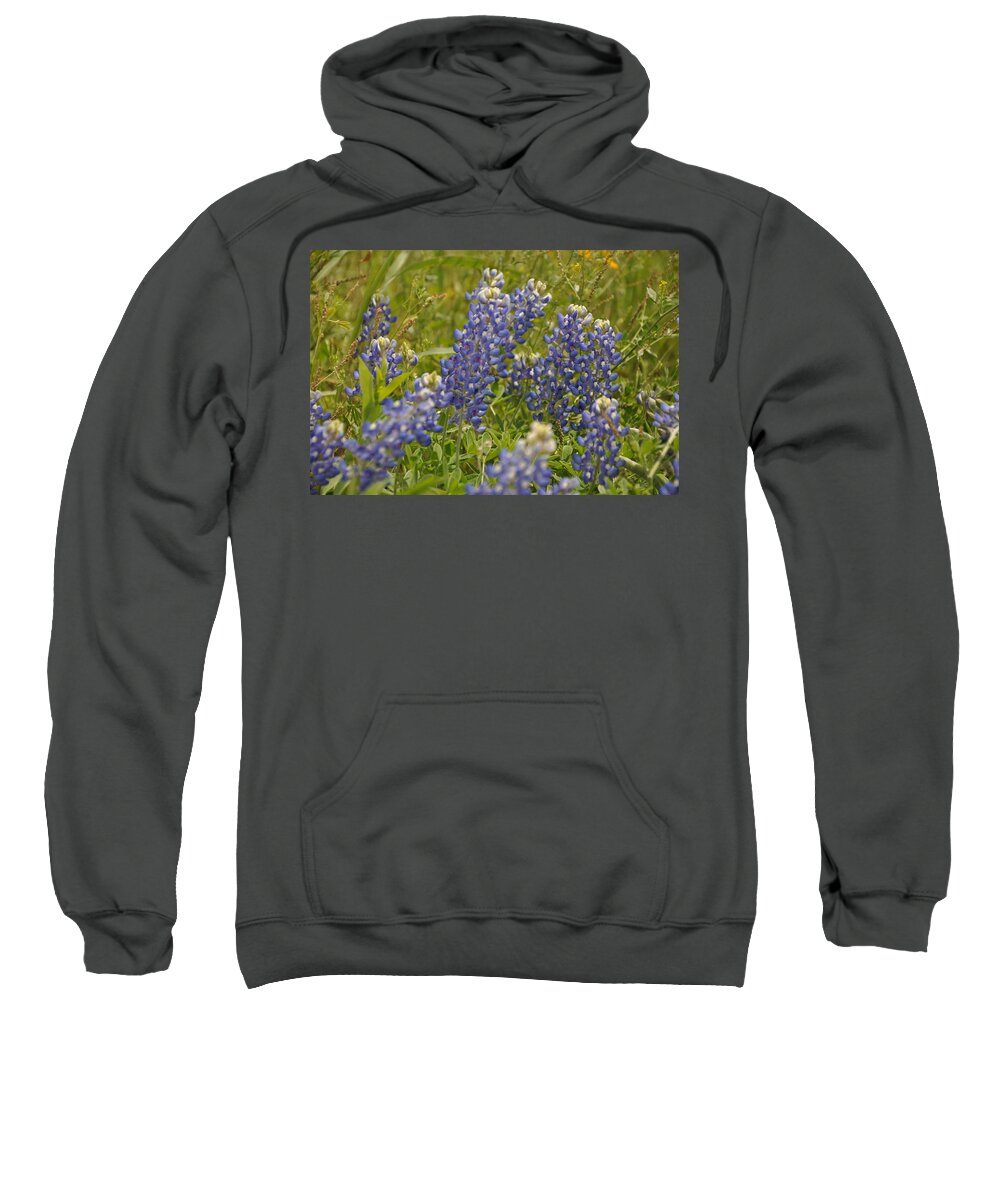 Texas Hill Country Sweatshirt featuring the photograph Texas Bluebonnet by Frank Madia