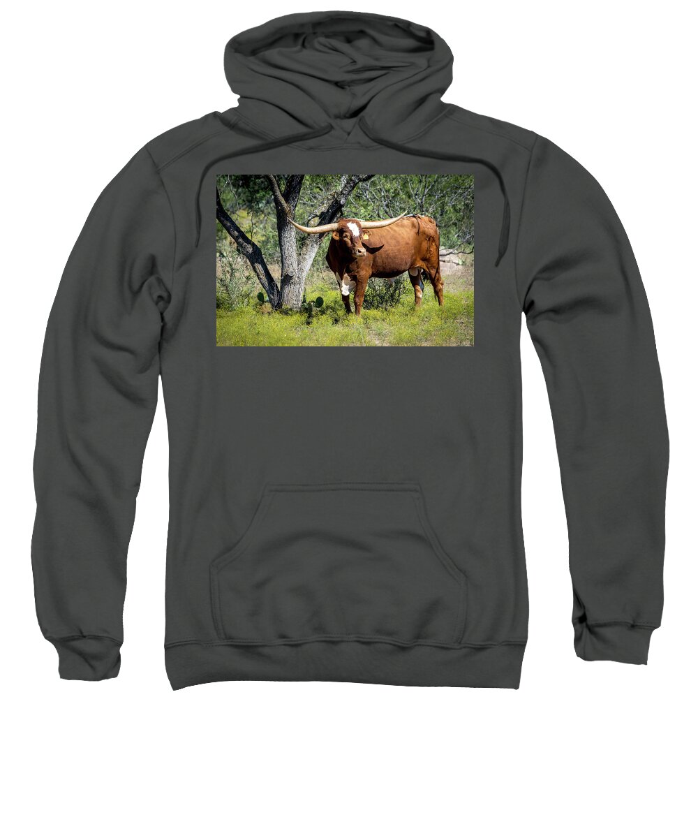 Longhorn Sweatshirt featuring the photograph Texas Longhorn Steer by David Morefield