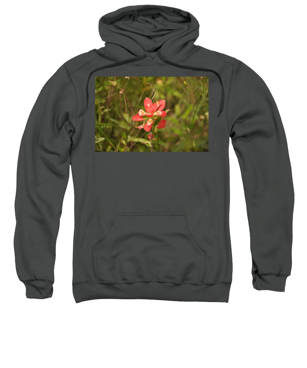 Texas Hill Country Sweatshirt featuring the photograph Texas Paintbrush by Frank Madia