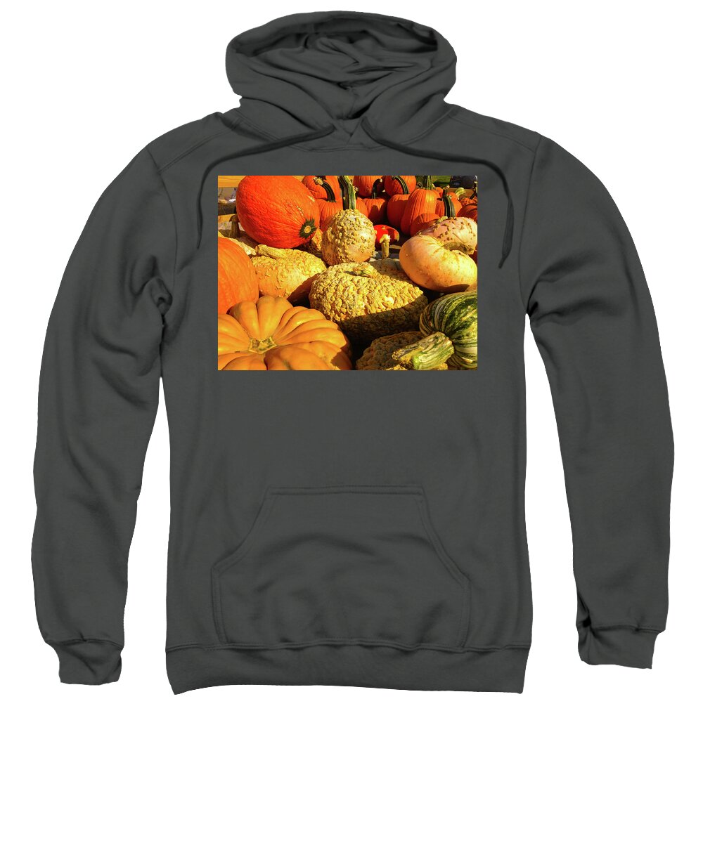 Pumpkin Sweatshirt featuring the photograph Textures of Fall by Rod Seel