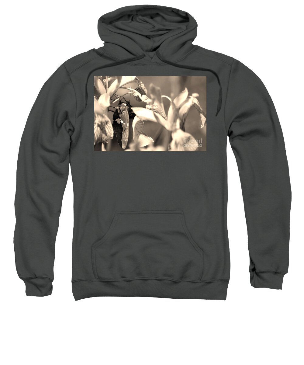 Fine Art Sweatshirt featuring the photograph The Butterfly by Donna Greene