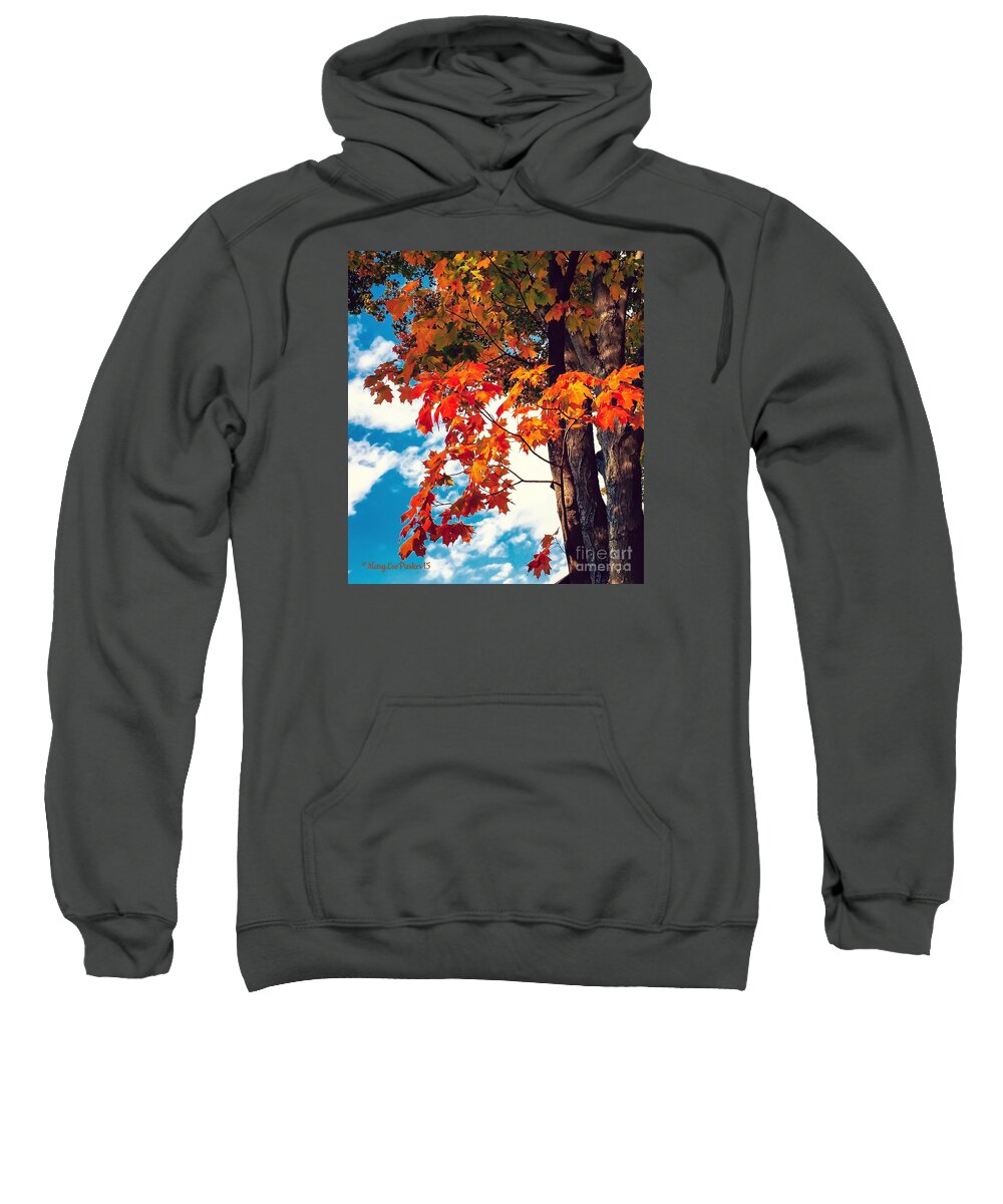 Photograph Sweatshirt featuring the photograph The changing by MaryLee Parker