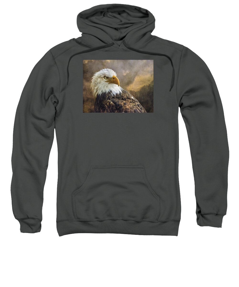 Bald Eagle Sweatshirt featuring the photograph The Eagle's Stare by Brian Tarr