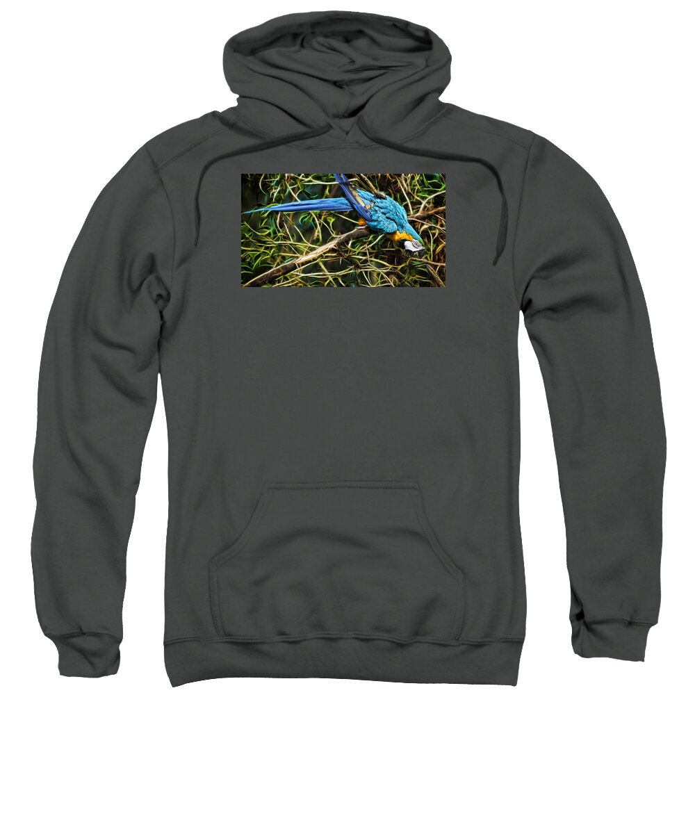 Fractals Sweatshirt featuring the photograph The Enchanted Forest by Cameron Wood