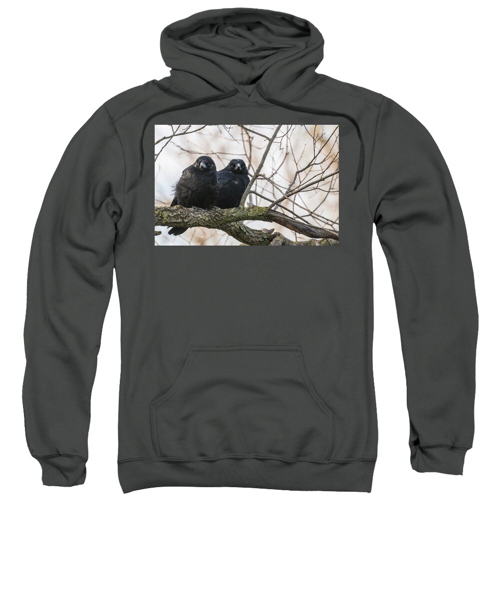 Tree Sweatshirt featuring the photograph The Family by Sergey Simanovsky
