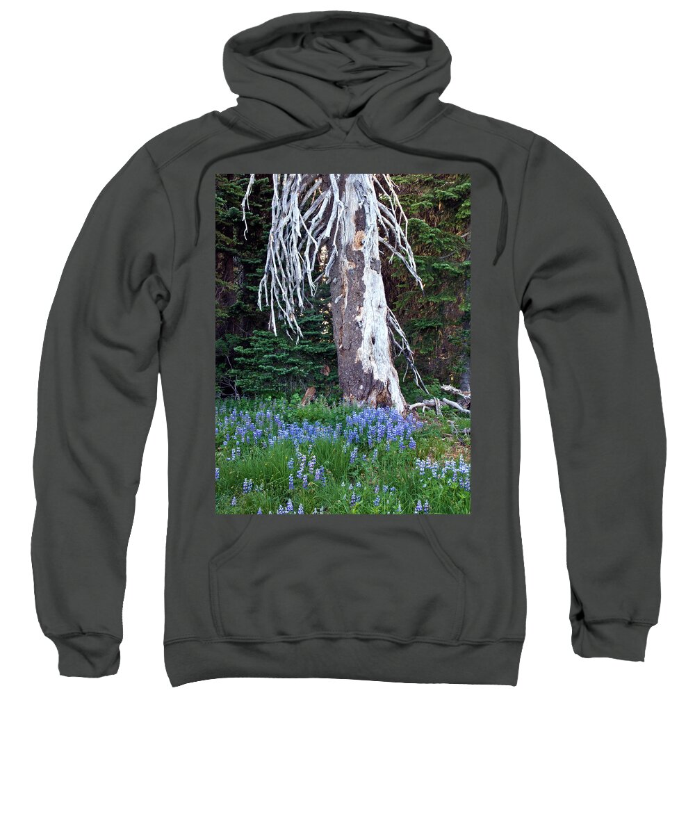 Tree Sweatshirt featuring the photograph The Ghost Tree by Marla Craven