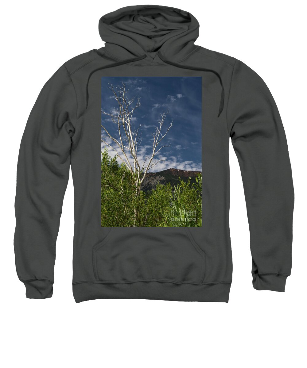 Sky Sweatshirt featuring the photograph The Lonely Aspen by Brandon Bonafede