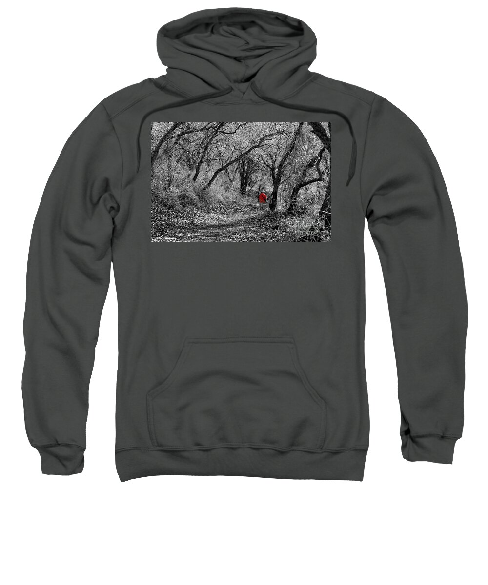 Nature Sweatshirt featuring the photograph The oak forest trail by Arik Baltinester
