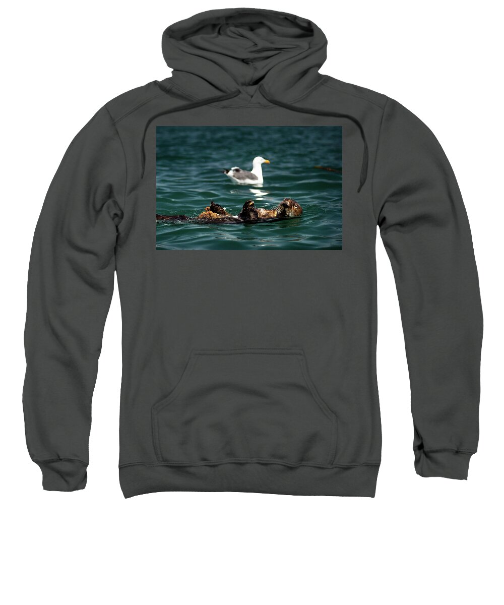 Nature Sweatshirt featuring the photograph The Otter and The Mooch 3 by Denise Dube