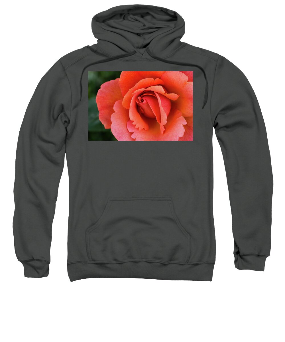 Flowers Sweatshirt featuring the photograph The Rose by Steven Clark
