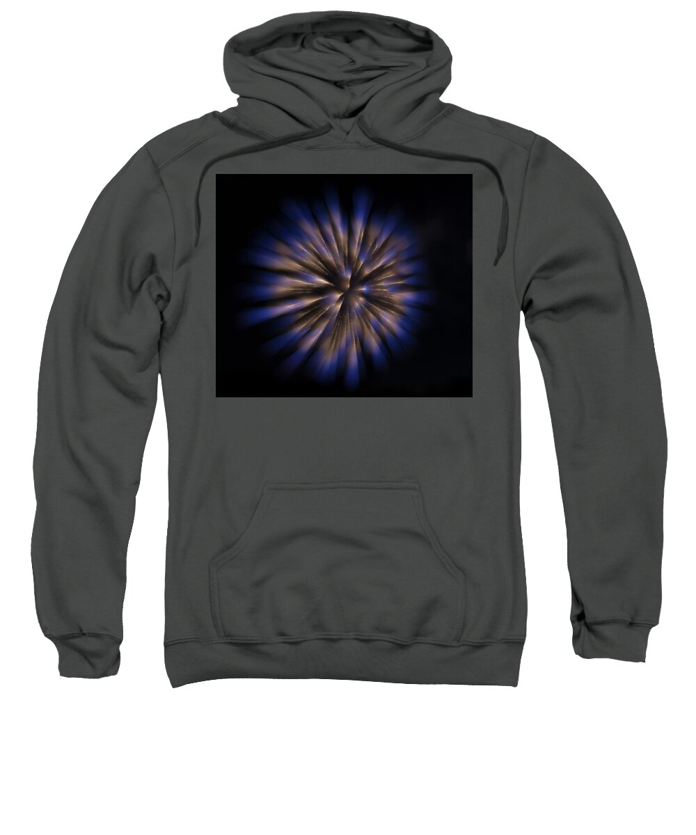 Seed Sweatshirt featuring the photograph The Seed of a New Idea by Alex Lapidus