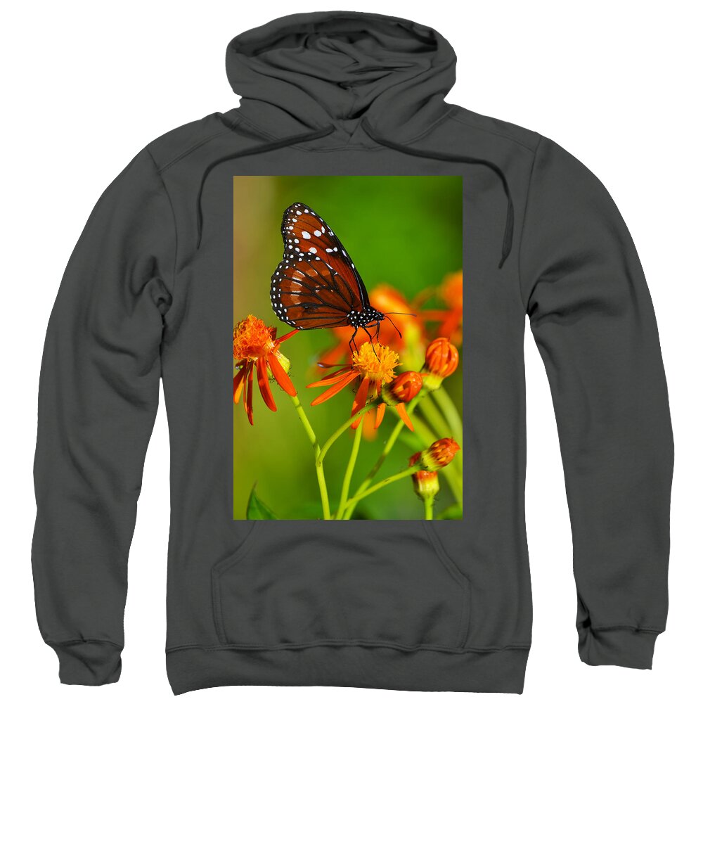 Butterfly Sweatshirt featuring the photograph The Soldier by Melanie Moraga