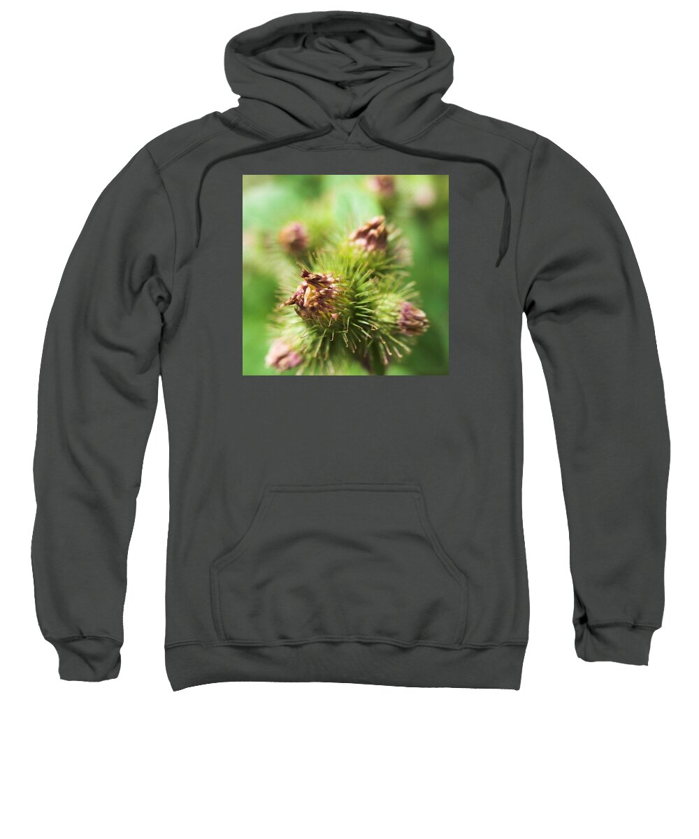 Close Up Sweatshirt featuring the photograph Thistle by Agneta Sigurdsson