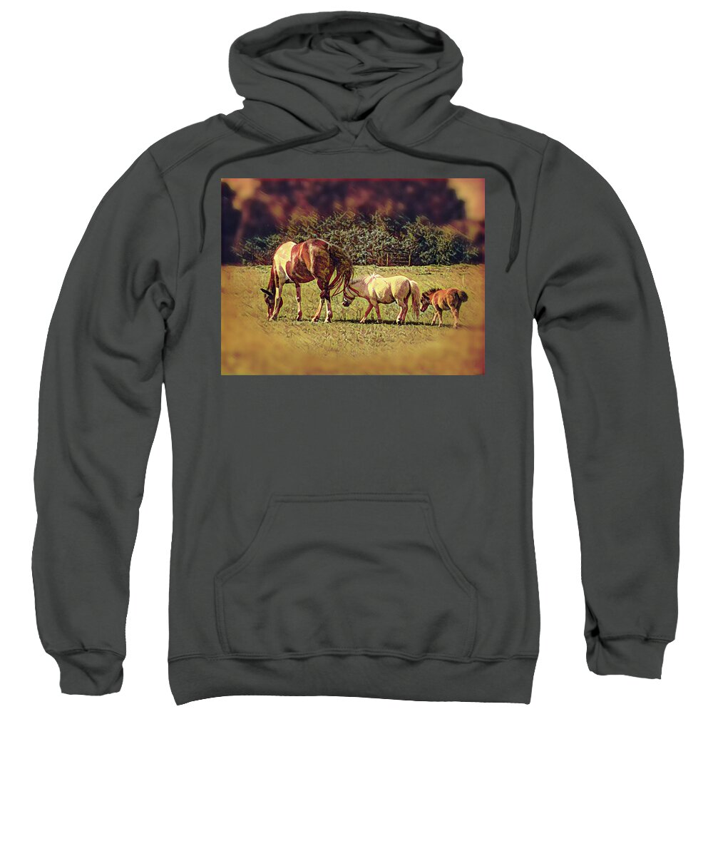 Horses Sweatshirt featuring the photograph Three in a Row by Doris Aguirre