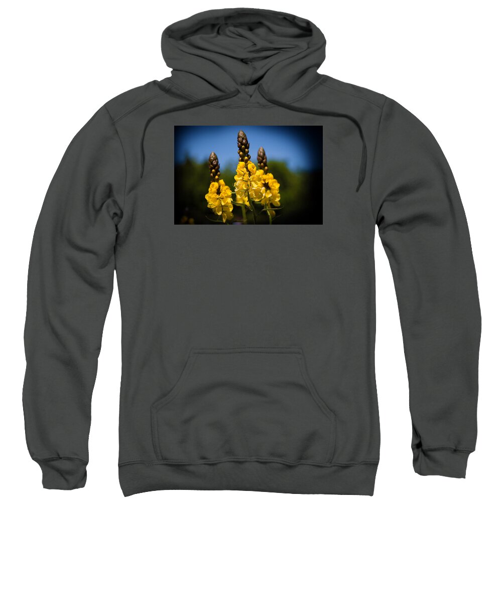 Yellow Flower Sweatshirt featuring the photograph Three Sisters by Milena Ilieva