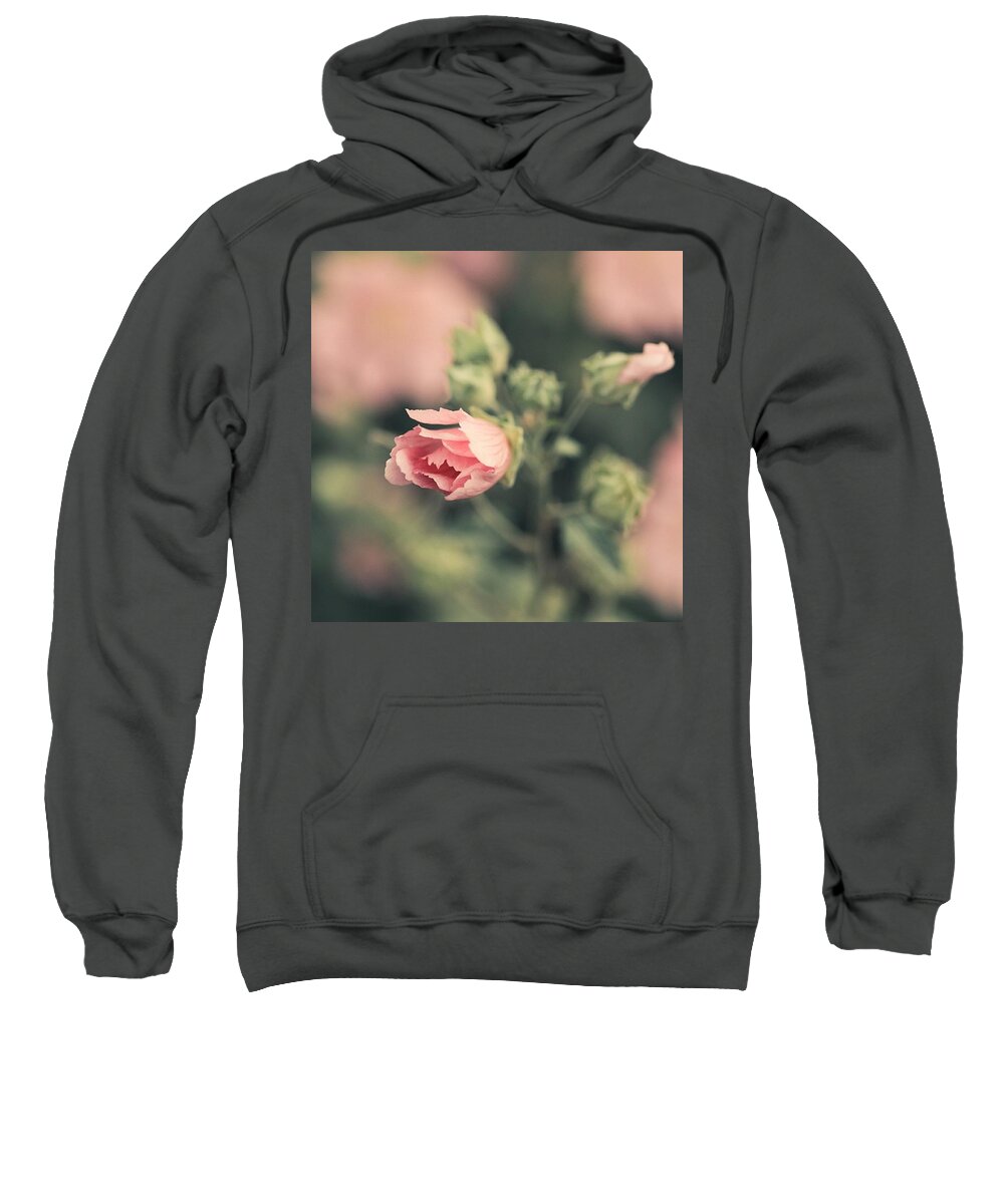 Plants Sweatshirt featuring the photograph Thüringer Strauchpappel (lavatera by Mandy Tabatt