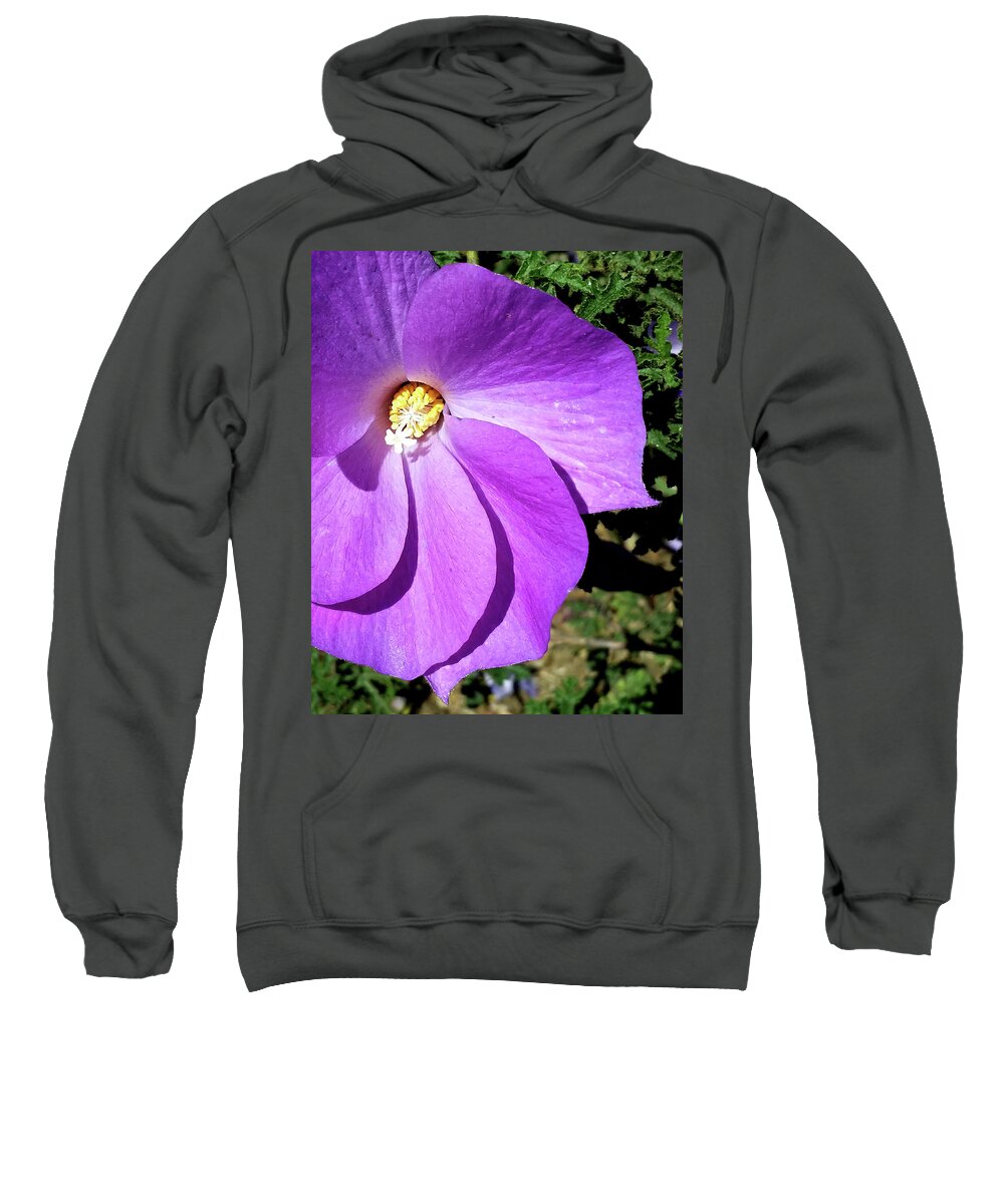 Purple Sweatshirt featuring the photograph Tiny Purple Flower by Barbara J Blaisdell