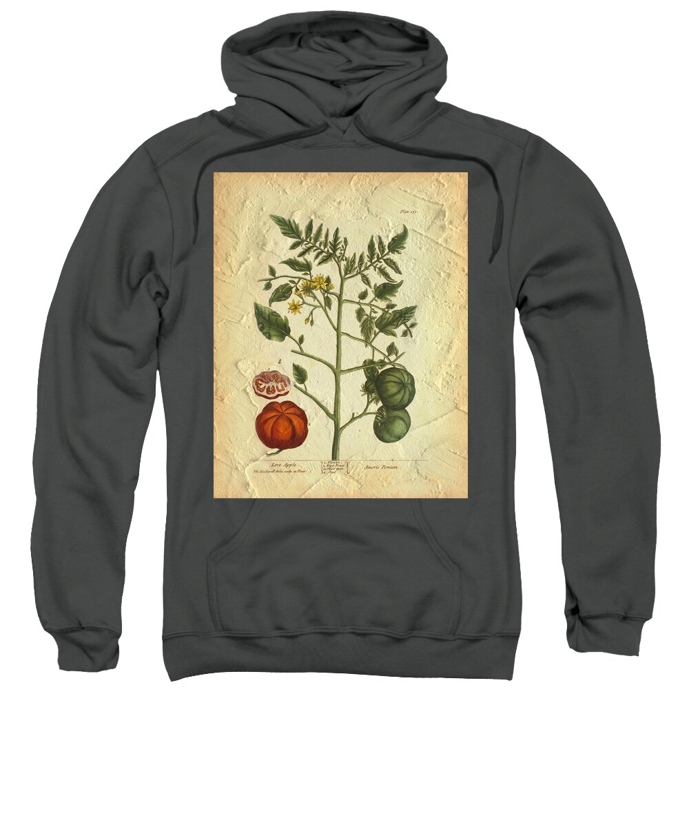 Tomato Sweatshirt featuring the photograph Tomato Plant Vintage Botanical by Karla Beatty