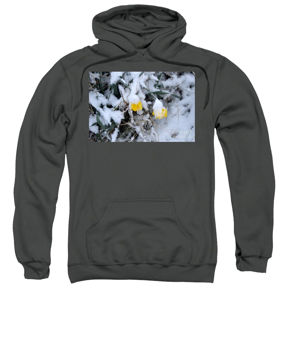 Snow Sweatshirt featuring the photograph Too Early by Andy Thompson