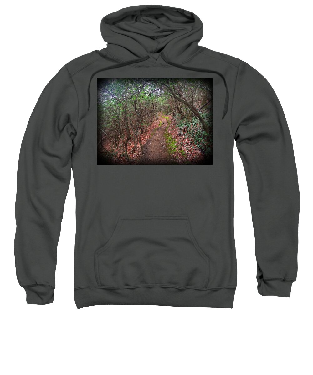 Trails Sweatshirt featuring the photograph Tray Mountain by Richie Parks