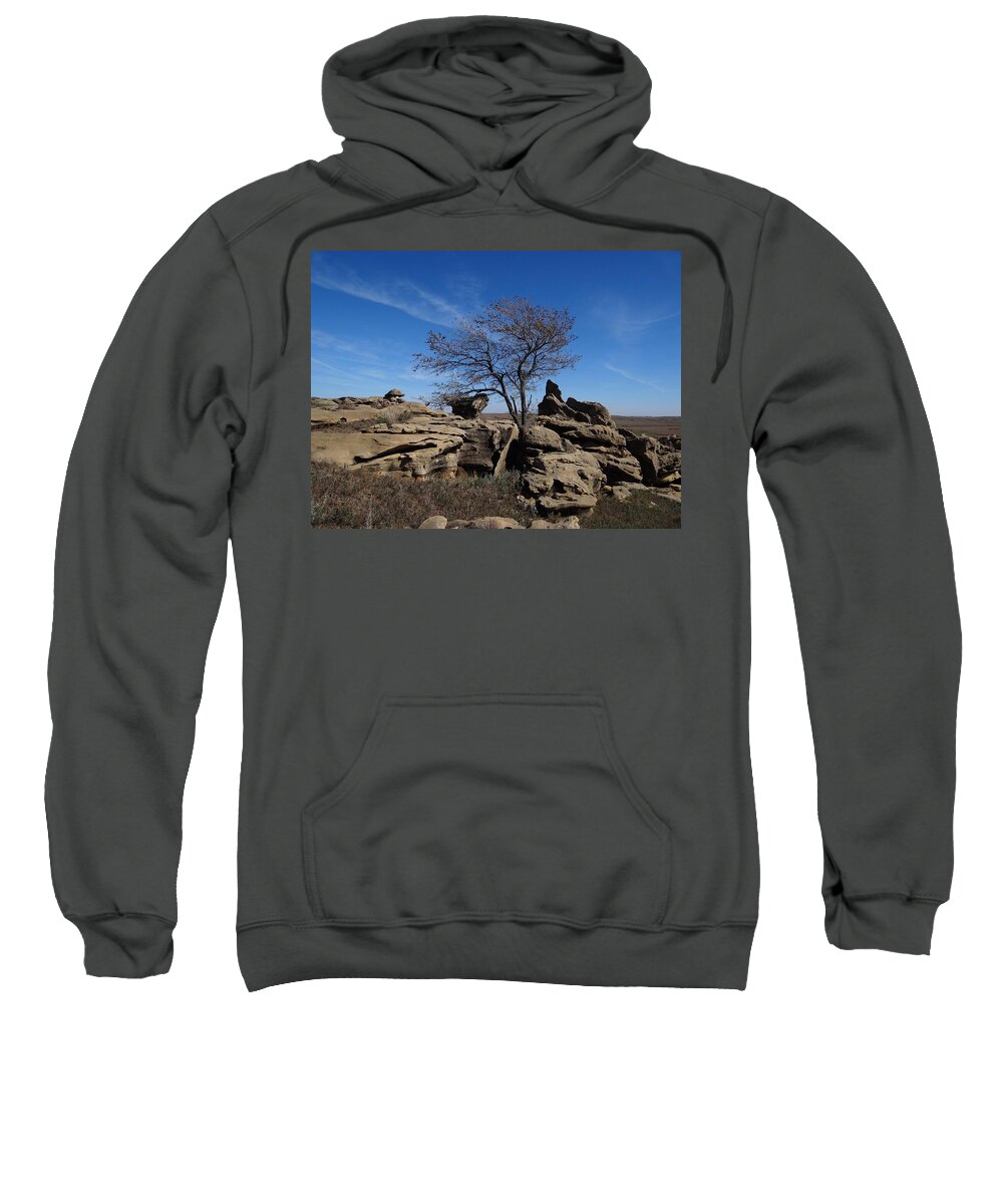 Tree Sweatshirt featuring the photograph Tree at Stirling Rock by Keith Stokes