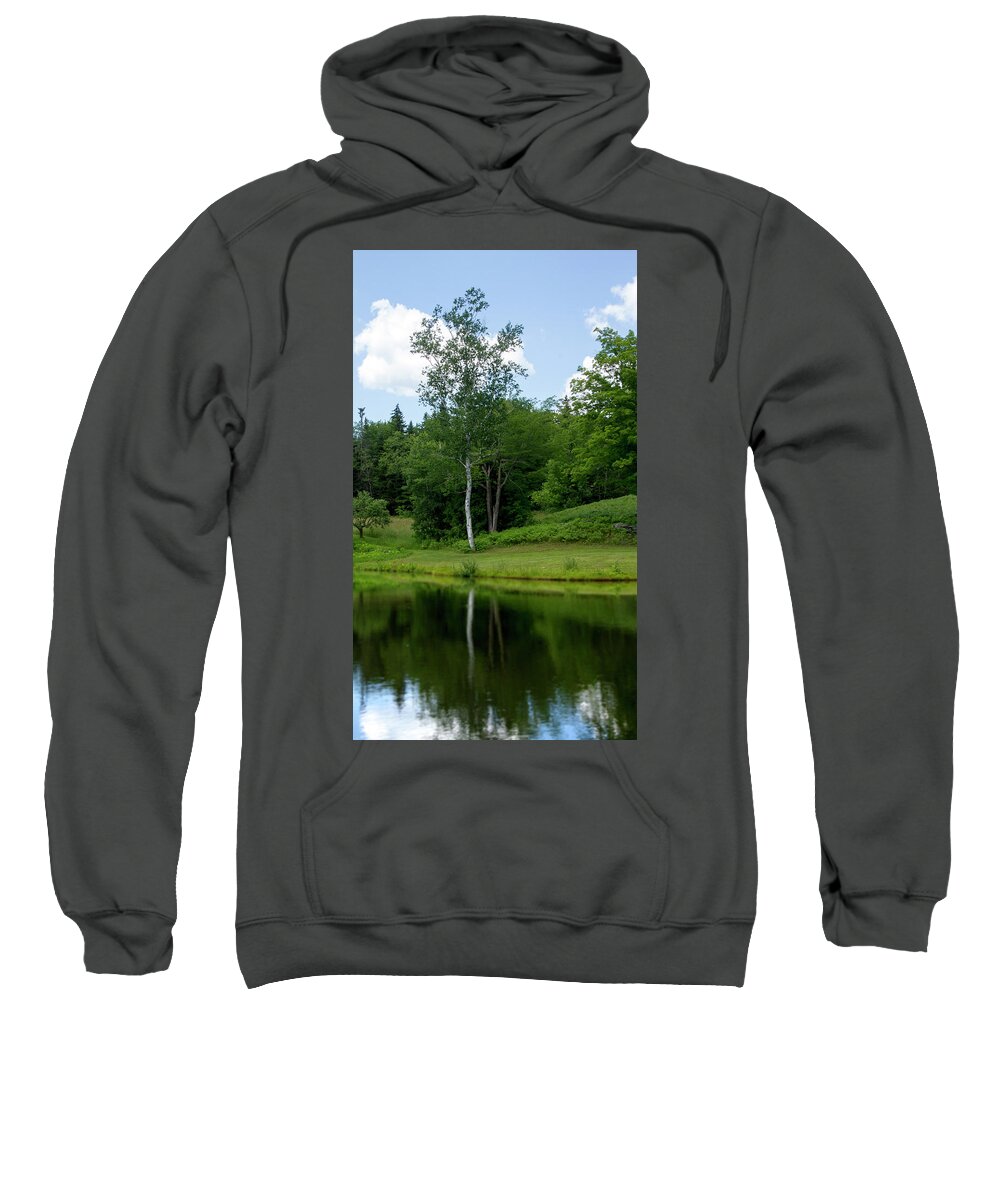 Reflection Sweatshirt featuring the digital art Tree Reflection by Terry Davis