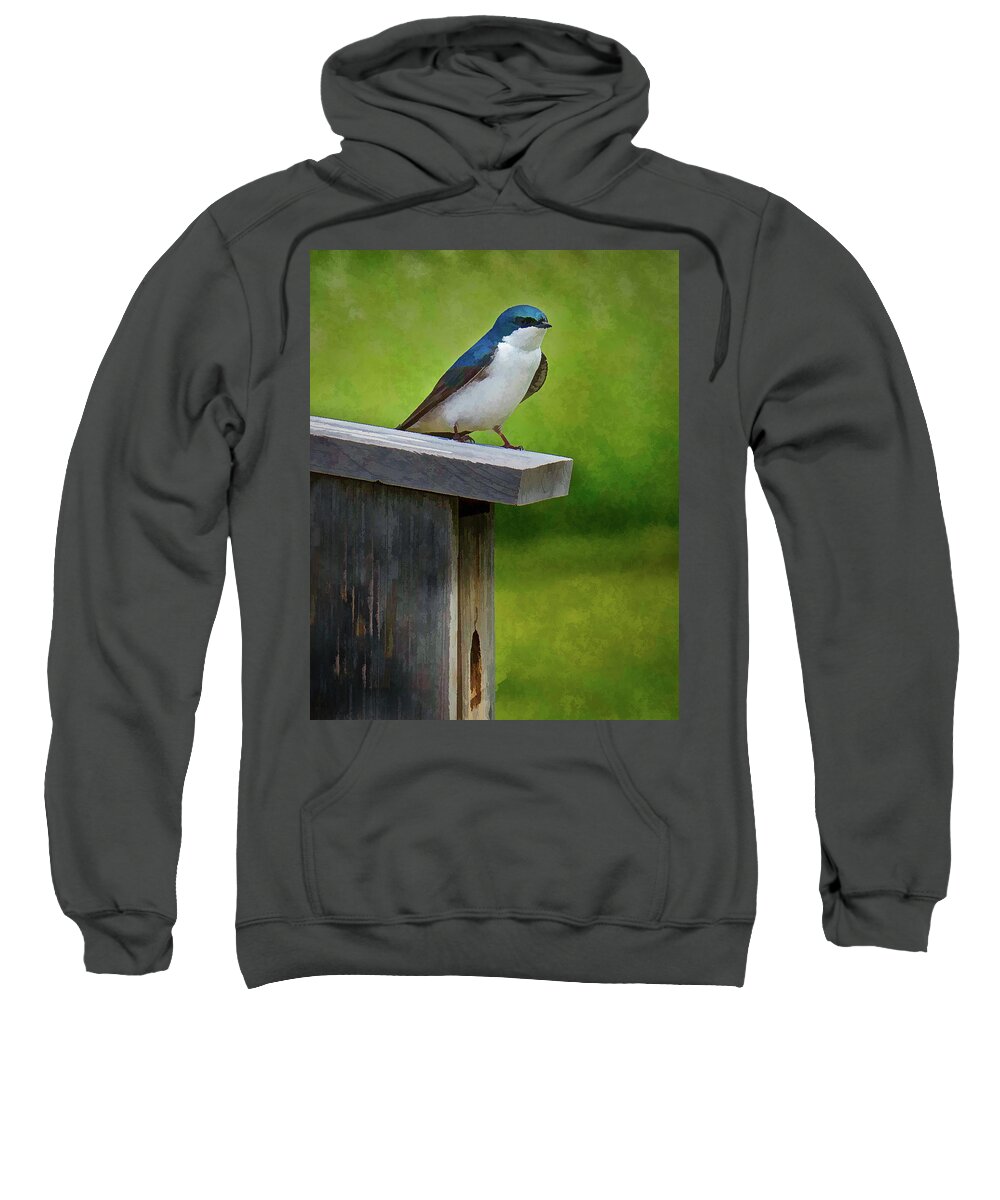 Bird Sweatshirt featuring the photograph Tree Swallow by David Thompsen