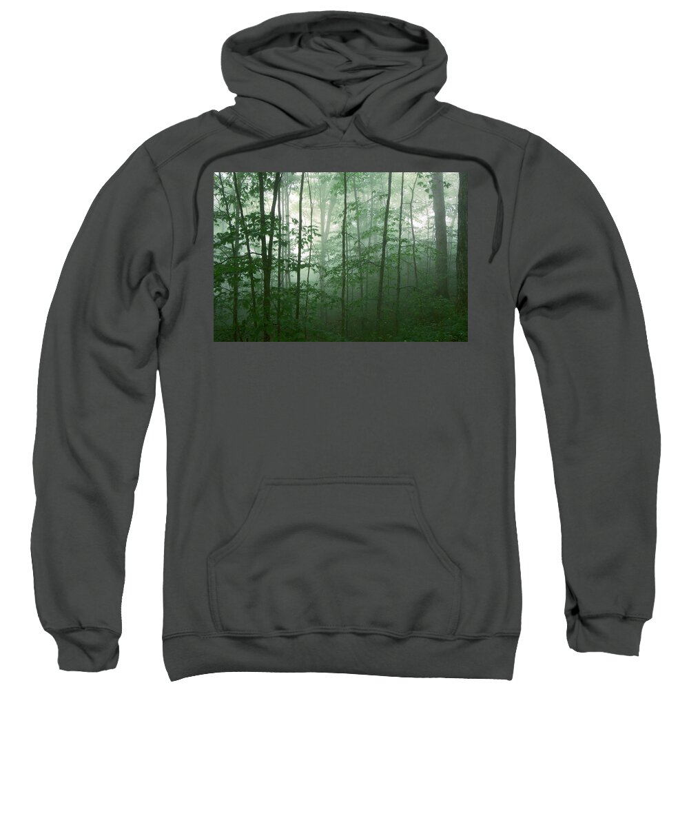 Asheville Sweatshirt featuring the photograph Trees in the Mist by Joye Ardyn Durham