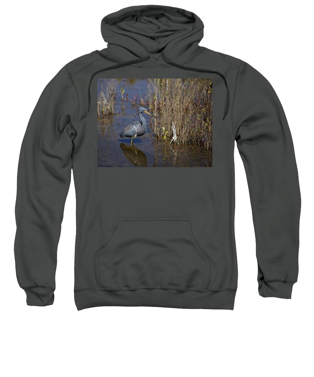 Egretta Tricolor Sweatshirt featuring the photograph Tricolored Heron wading by Jean Clark
