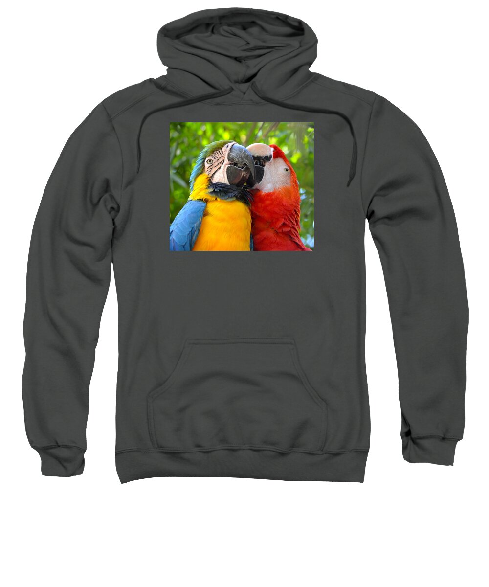 Florida Sweatshirt featuring the photograph Tropical Kisses by Richard Bryce and Family