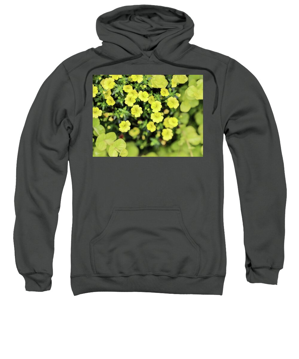 Floral Sweatshirt featuring the photograph Tucked Among Greenery by Mary Anne Delgado