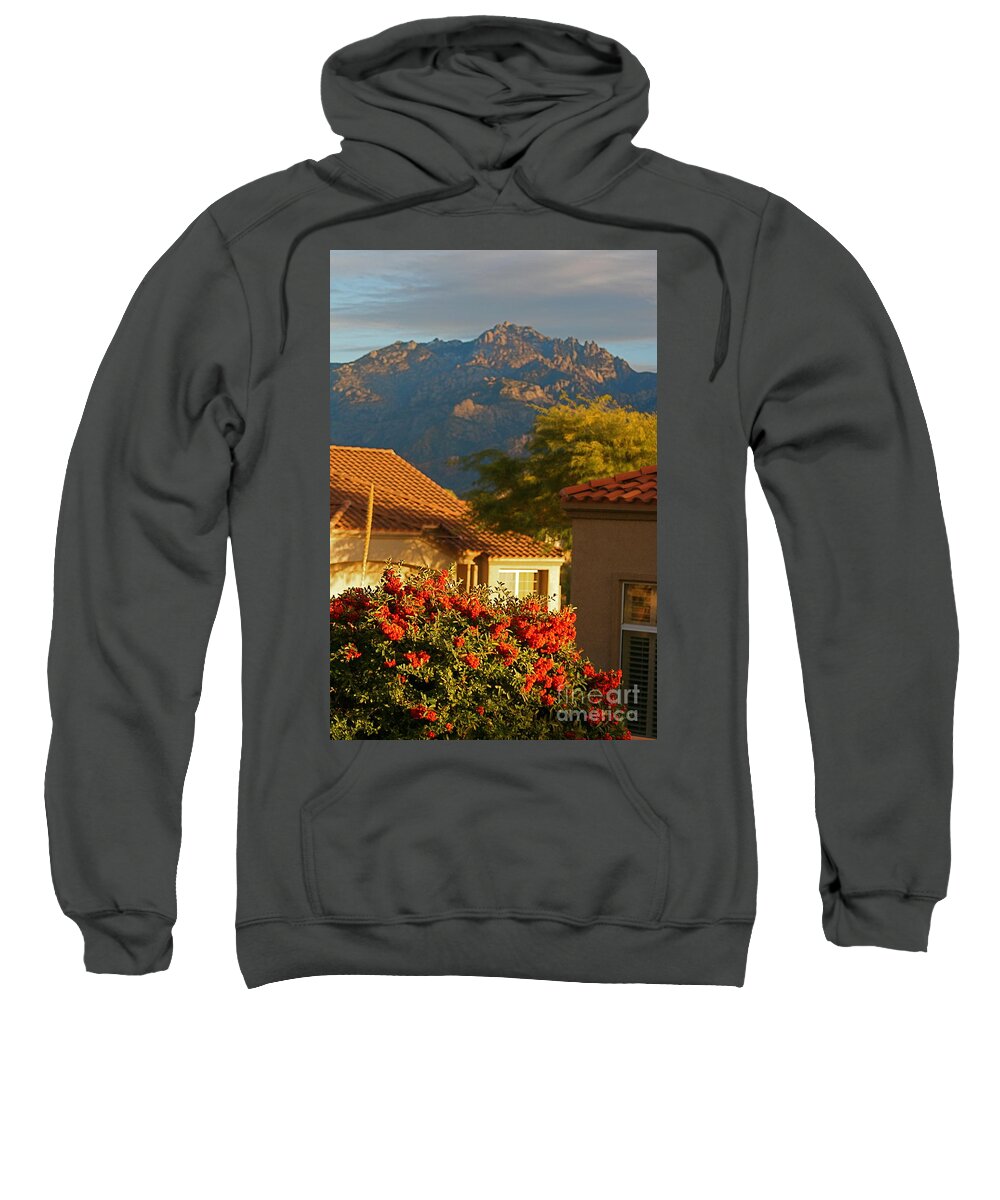 Mountains Sweatshirt featuring the photograph Tucson Beauty by Nadine Rippelmeyer