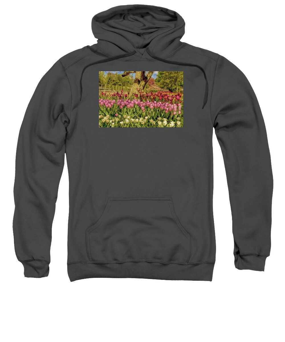 Tulip Bed Sweatshirt featuring the photograph Tulip bed at Longwood Gardens in PA by Geraldine Scull