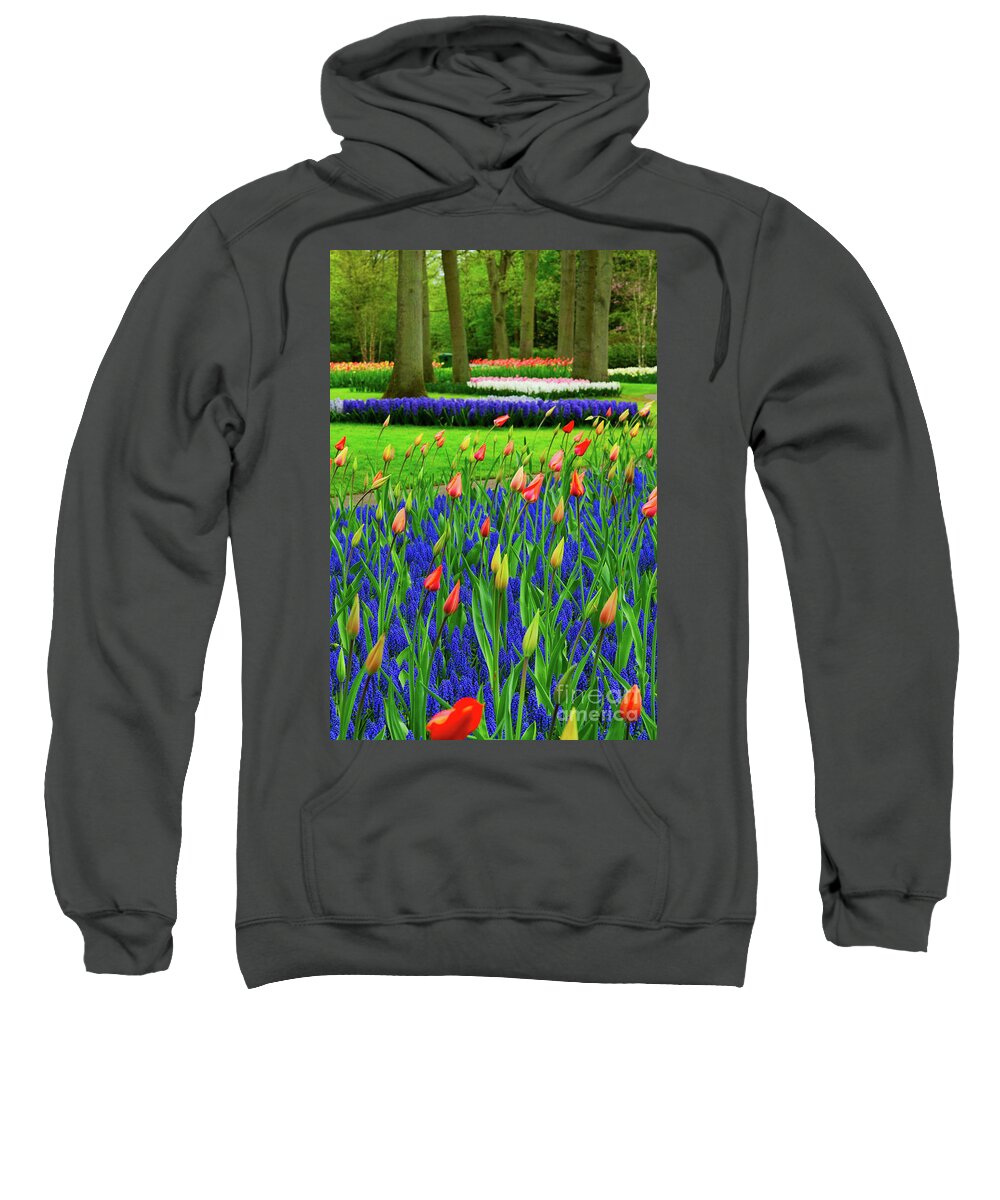 Tulip Sweatshirt featuring the photograph Tulips and bluebells by Anastasy Yarmolovich