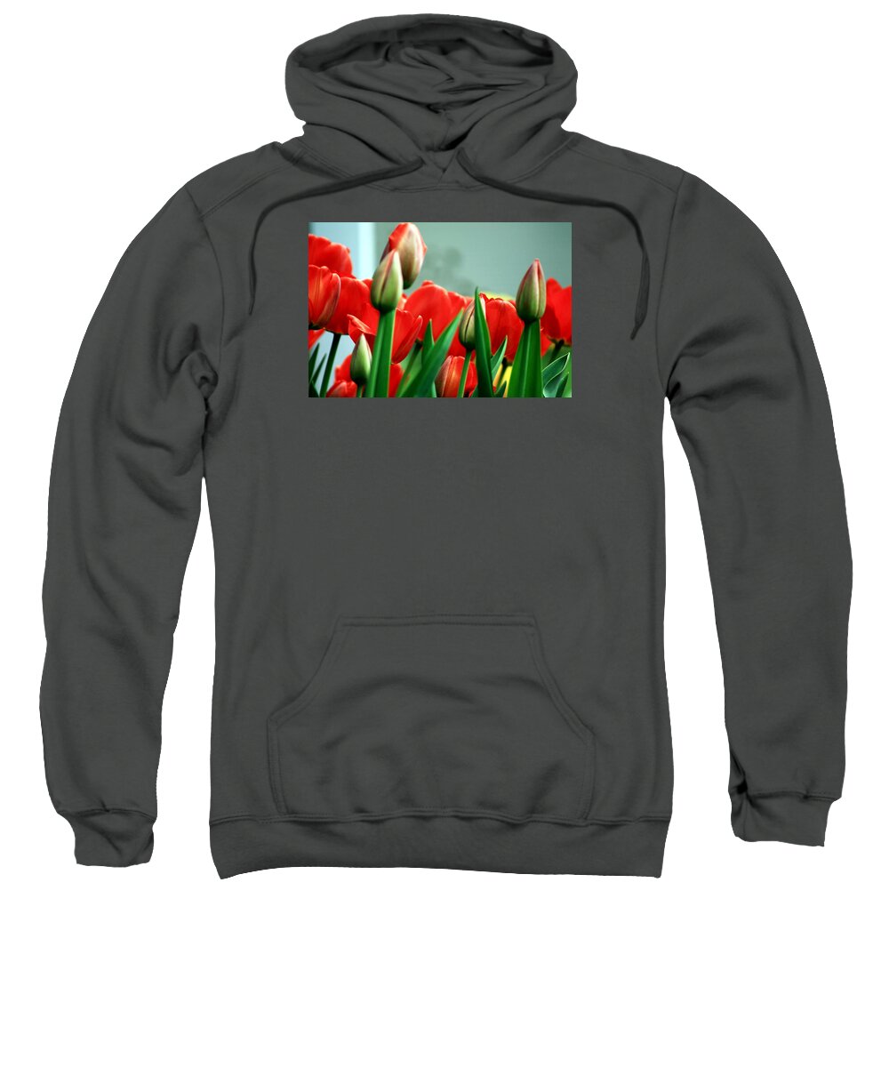 Tulips Sweatshirt featuring the photograph Tulips by Karl Rose
