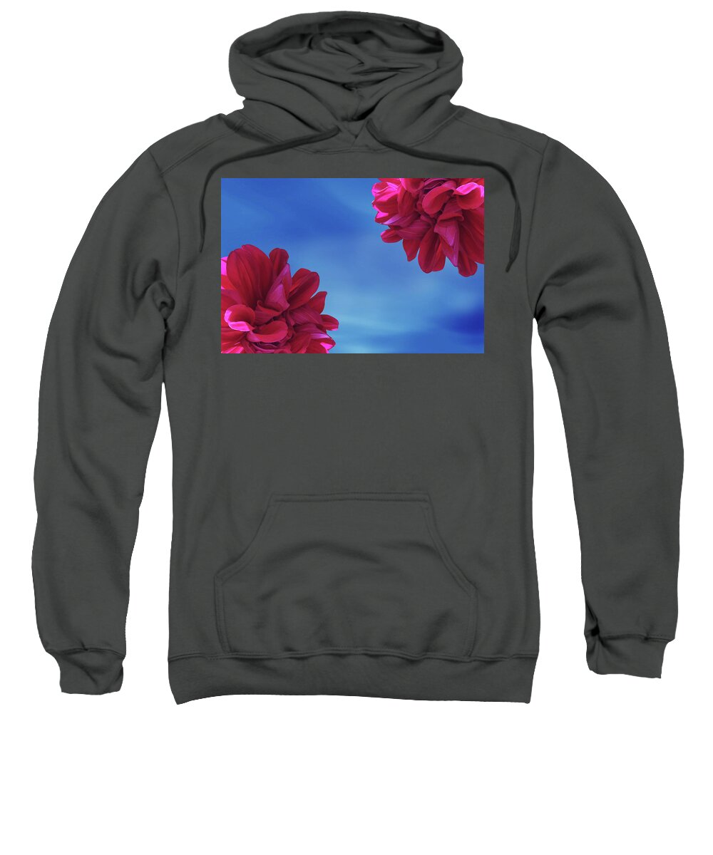 Blossom Sweatshirt featuring the photograph Two Dahlia Flower by Ridwan Photography