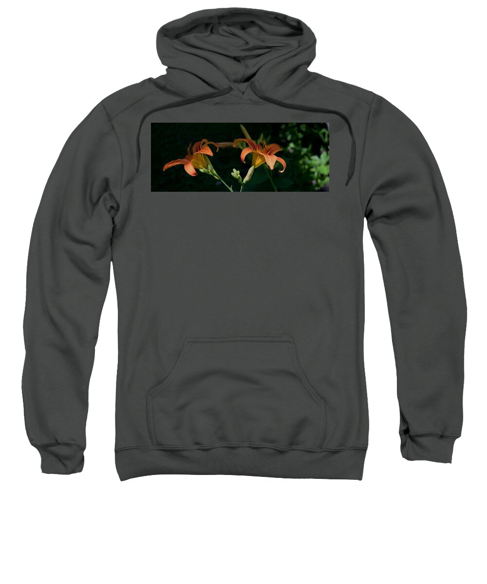  Sweatshirt featuring the photograph Two Lilys by Robert Hayes