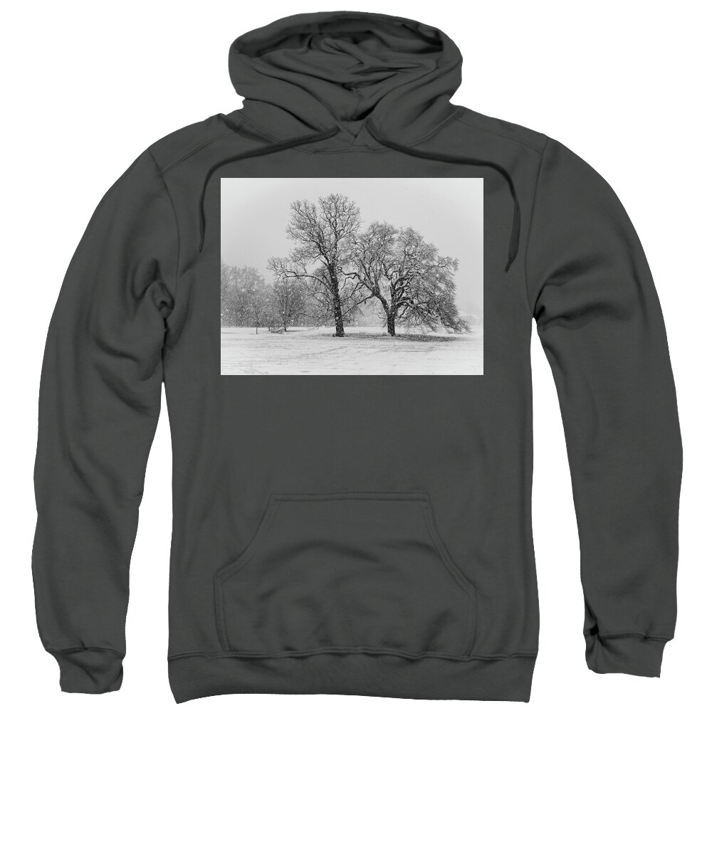 Mount Laurel Sweatshirt featuring the photograph Two Sister Trees New Jersey by Louis Dallara