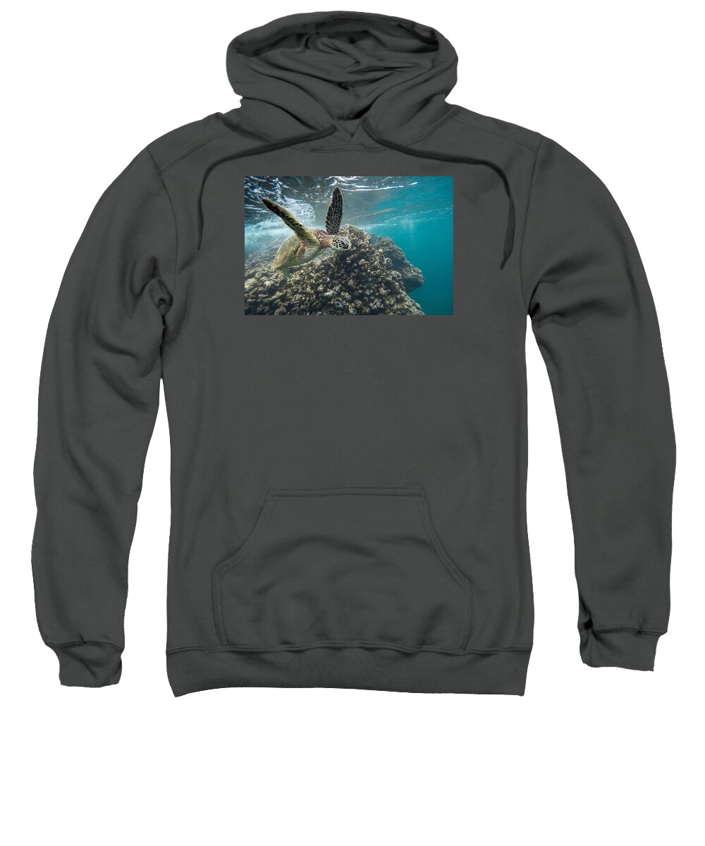 Sea Life Sweatshirt featuring the photograph Under Flyer by Leonardo Dale