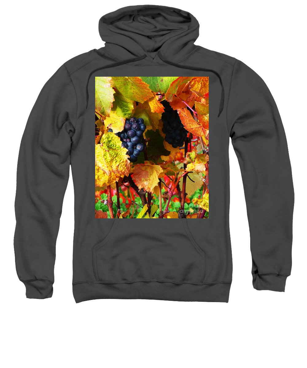 Grapes On The Vine Sweatshirt featuring the photograph Vineyard 18 by Xueling Zou